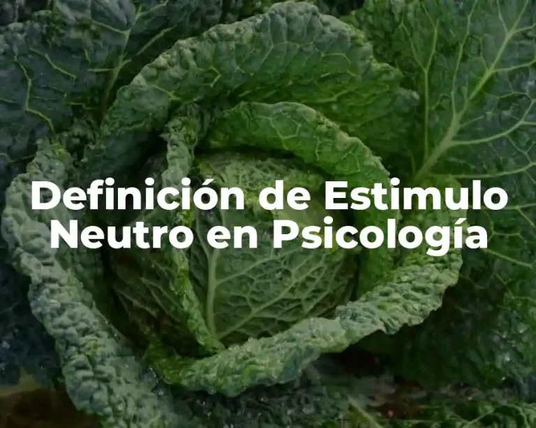 Definición de Estimulo Neutro en Psicología