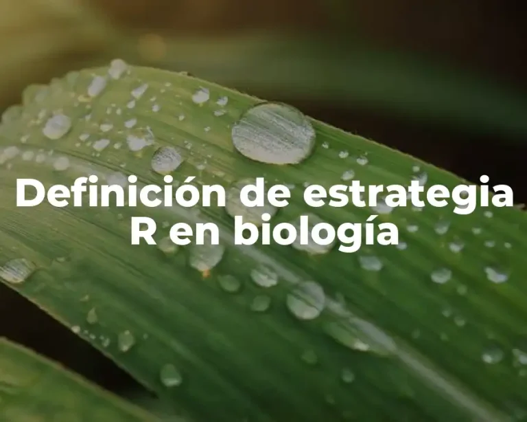 Definición de estrategia R en biología