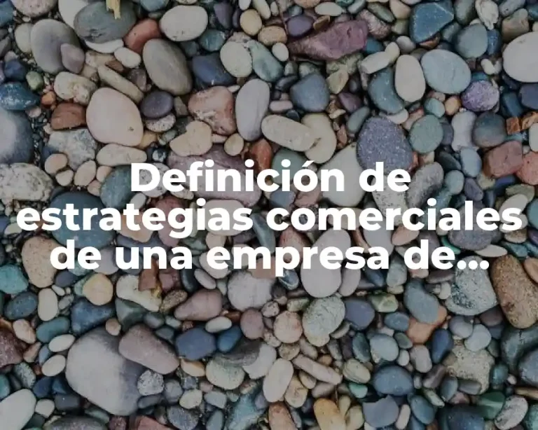 Definición de estrategias comerciales de una empresa de transporte