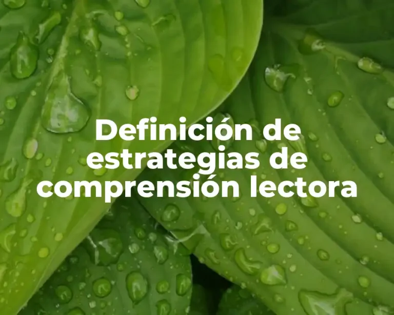 Definición de estrategias de comprensión lectora