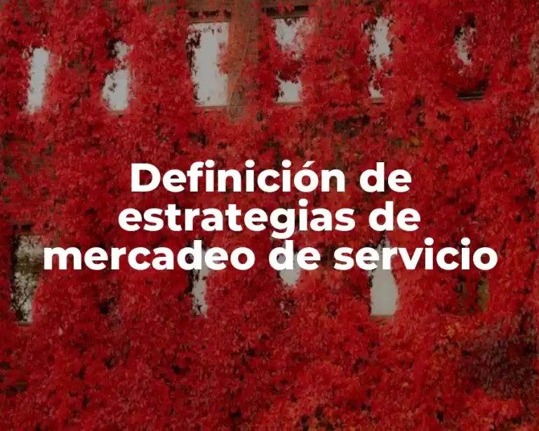 Definición de estrategias de mercadeo de servicio