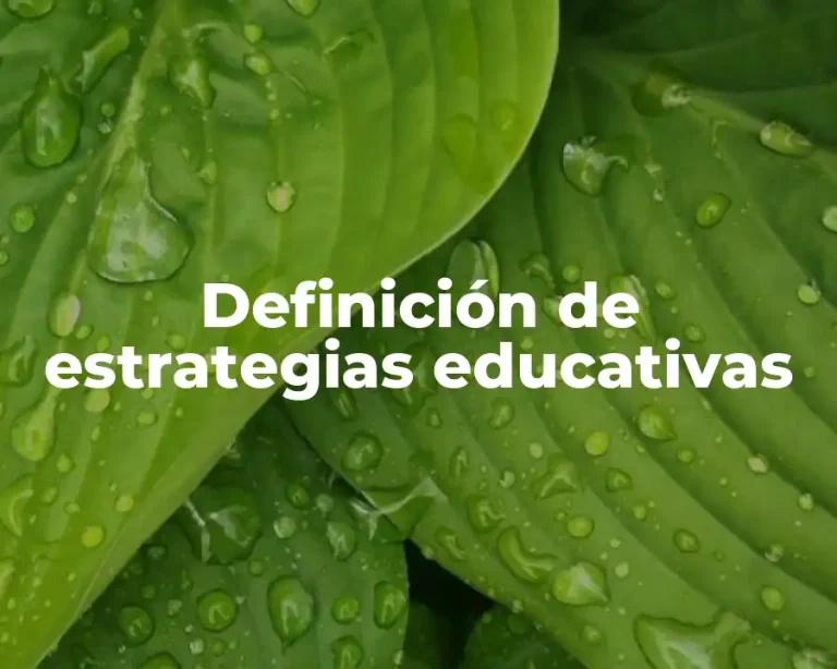 Definición de estrategias educativas
