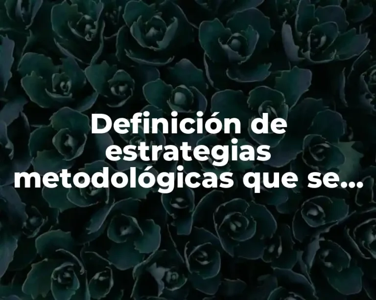 Definición de estrategias metodológicas que se implementan