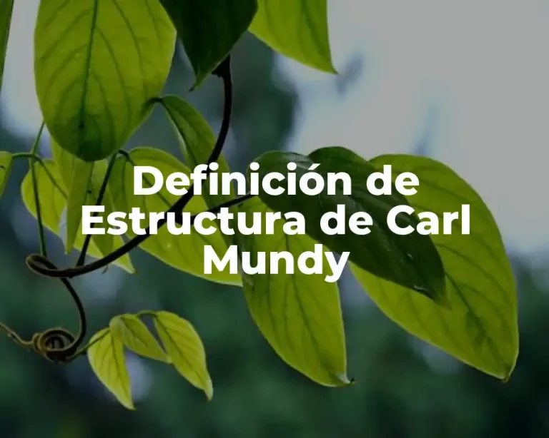Definición de Estructura de Carl Mundy