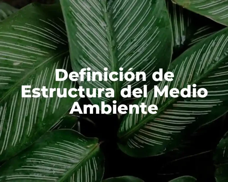 Definición de Estructura del Medio Ambiente