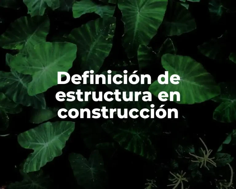 Definición de estructura en construcción