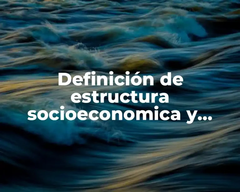Definición de estructura socioeconomica y politica
