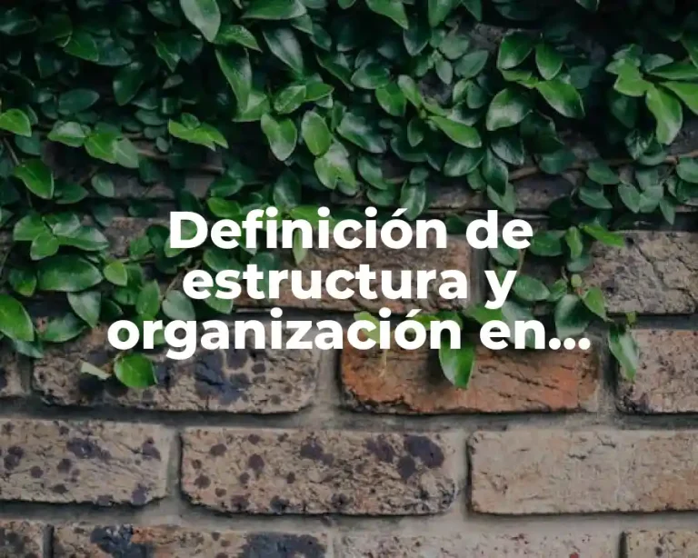 Definición de estructura y organización en biología