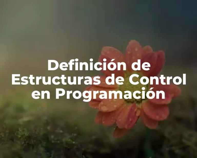 Definición de Estructuras de Control en Programación