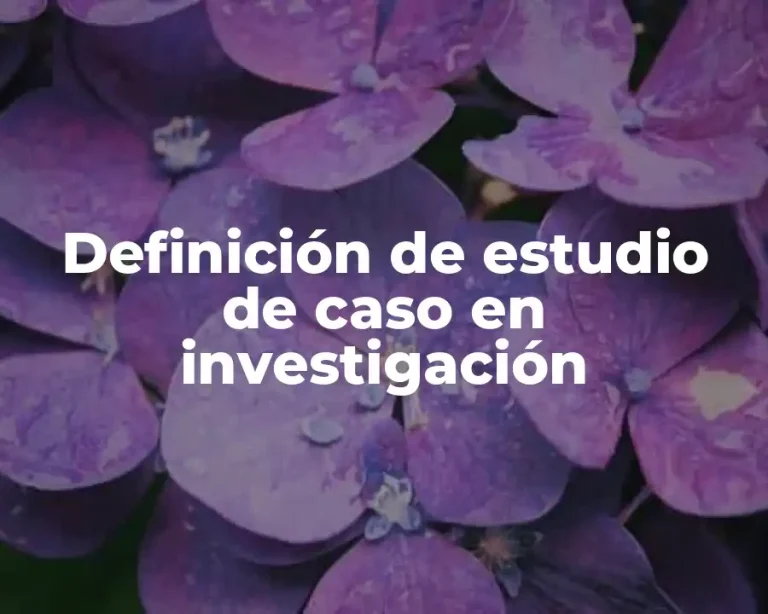 Definición de estudio de caso en investigación