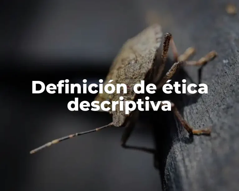 Definición de ética descriptiva