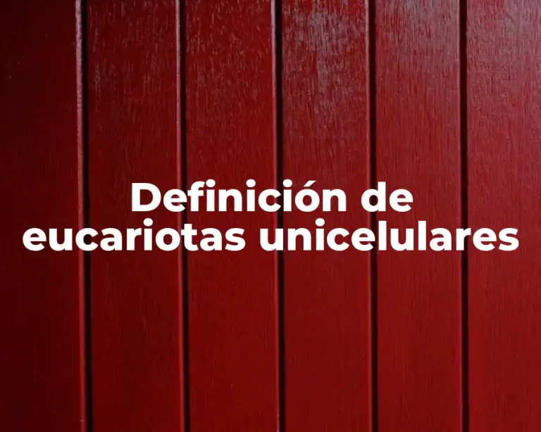 Definición de eucariotas unicelulares