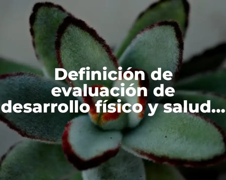 Definición de evaluación de desarrollo físico y salud en preescolar
