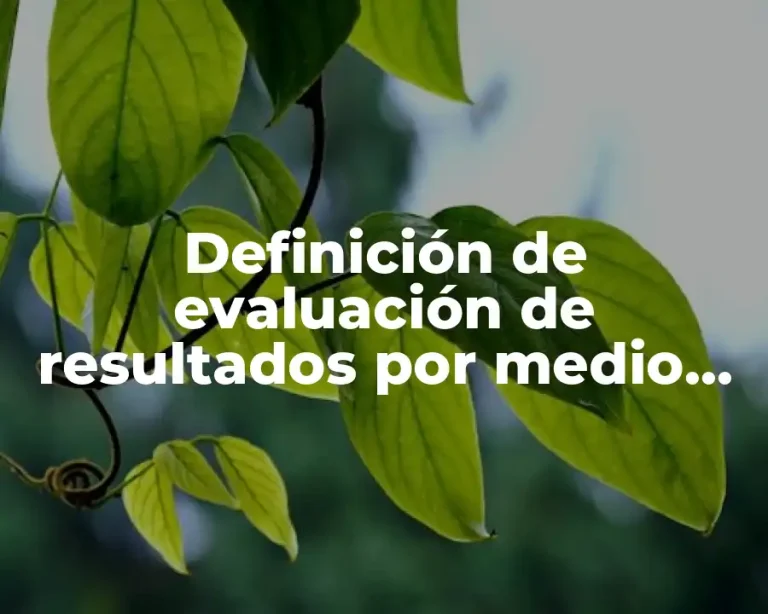 Definición de evaluación de resultados por medio del scorecard