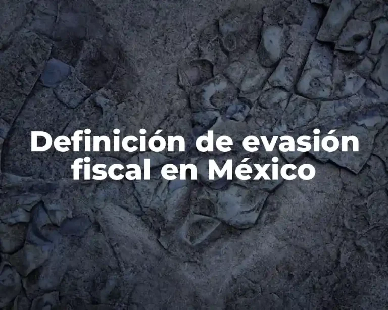 Definición de evasión fiscal en México