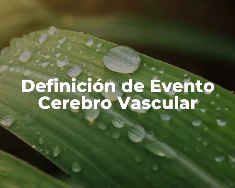 Definición de Evento Cerebro Vascular