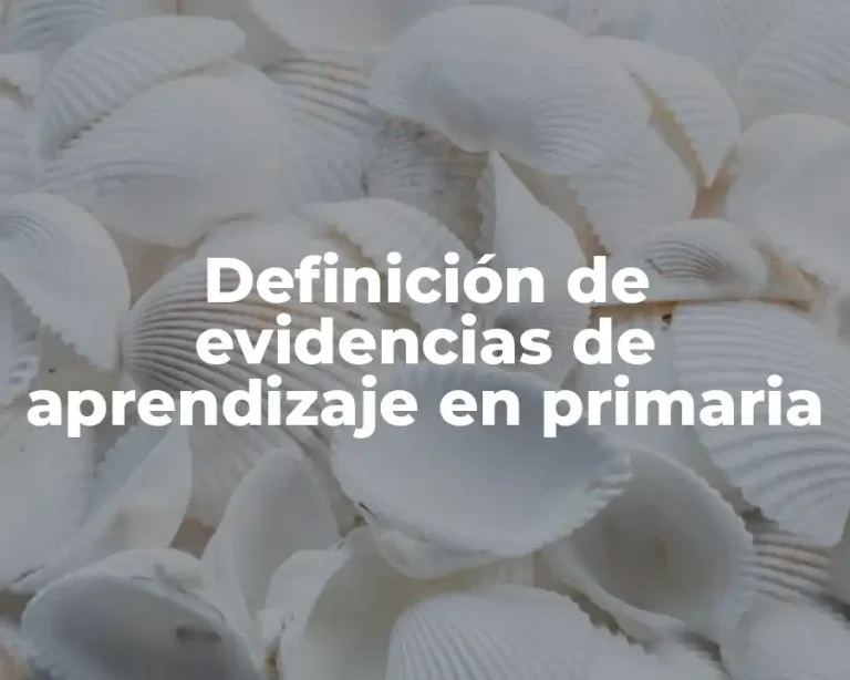 Definición de evidencias de aprendizaje en primaria