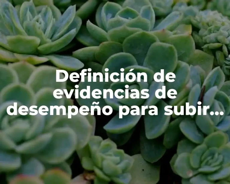 Definición de evidencias de desempeño para subir en plataforma