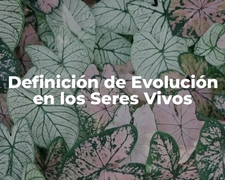 Definición de Evolución en los Seres Vivos