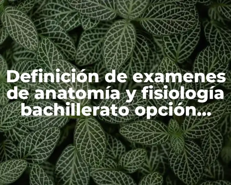 Definición de examenes de anatomía y fisiología bachillerato opción múltiple