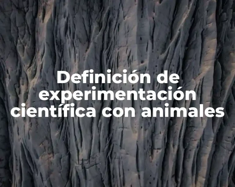 Definición de experimentación científica con animales
