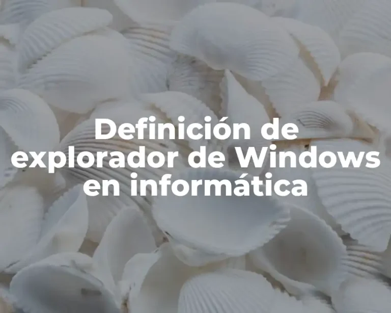Definición de explorador de Windows en informática