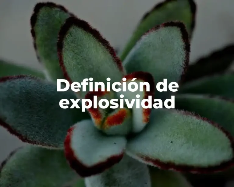 Definición de explosividad