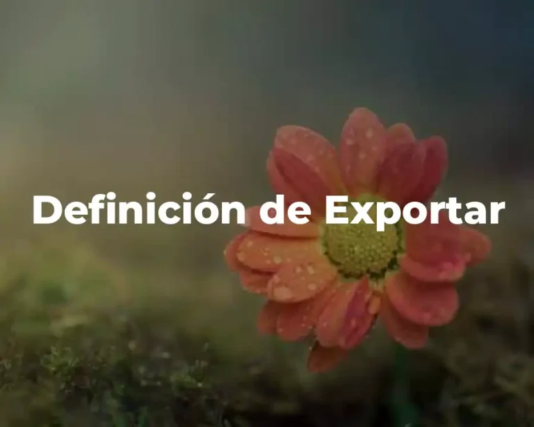 Definición de Exportar