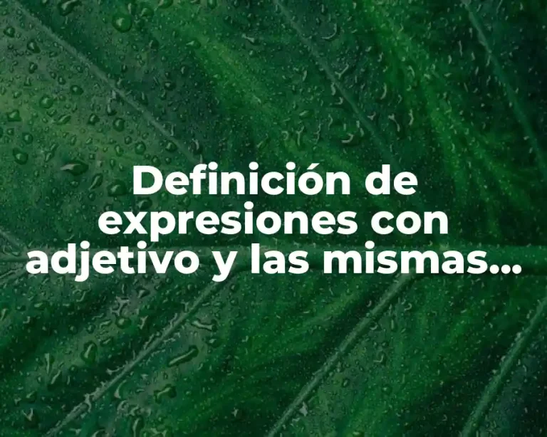 Definición de expresiones con adjetivo y las mismas sin adjetivo