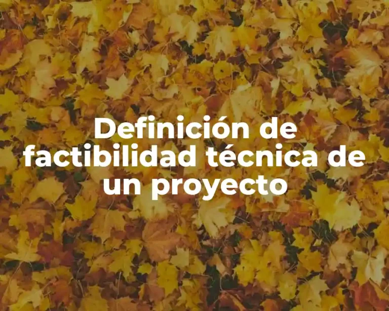 Definición de factibilidad técnica de un proyecto
