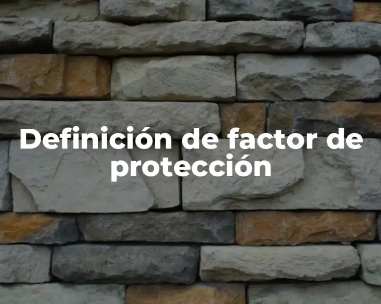 Definición de factor de protección
