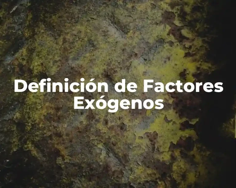 Definición de Factores Exógenos