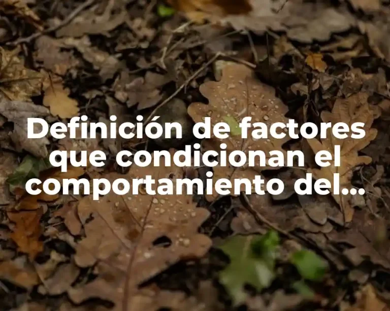 Definición de factores que condicionan el comportamiento del consumidor