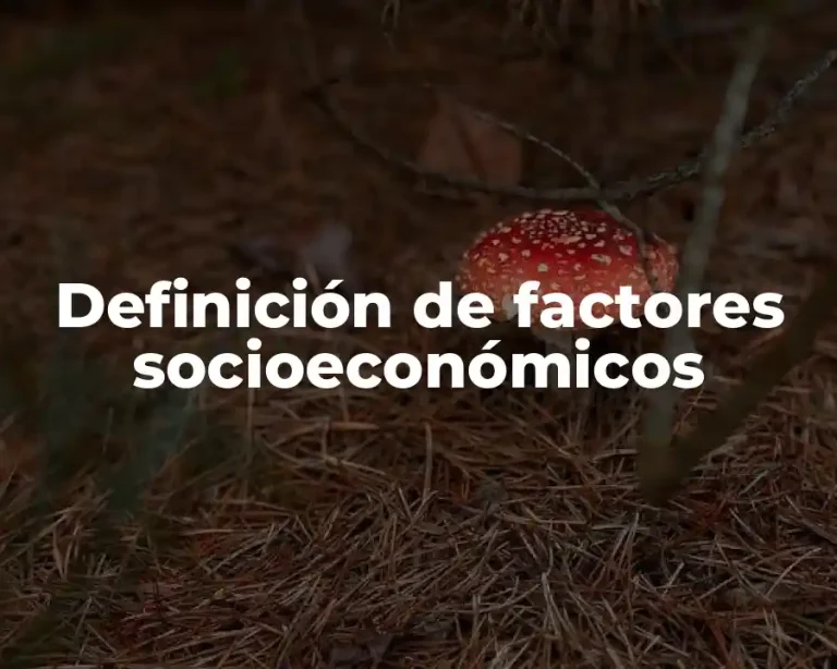 Definición de factores socioeconómicos