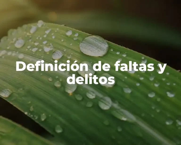 Definición de faltas y delitos