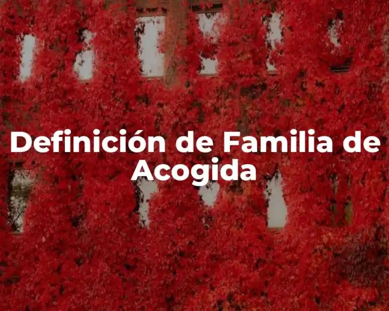 Definición de Familia de Acogida