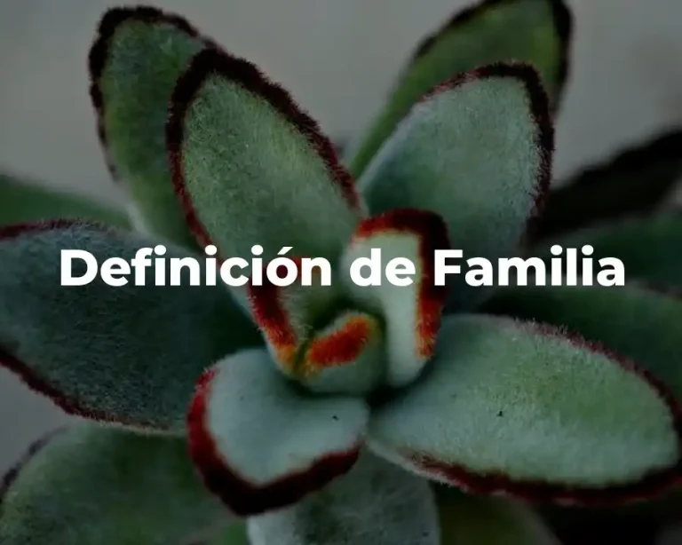 Definición de Familia