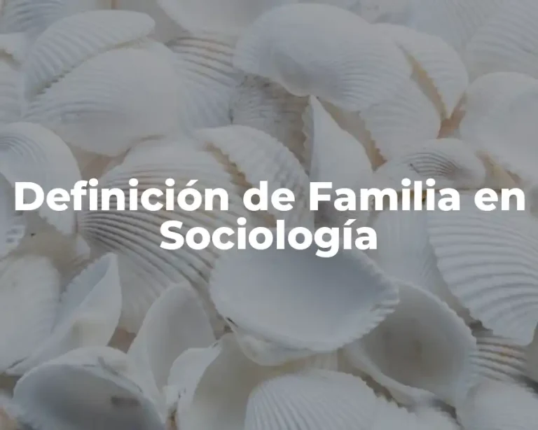 Definición de Familia en Sociología