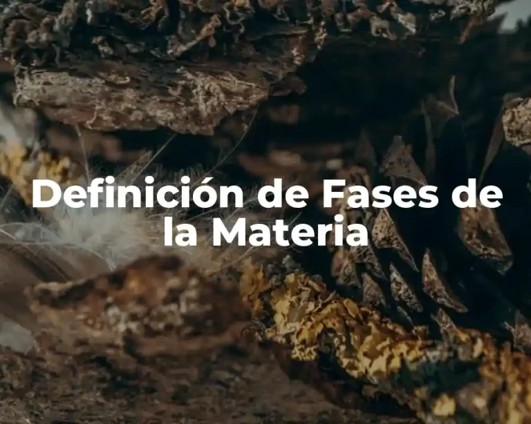 Definición de Fases de la Materia