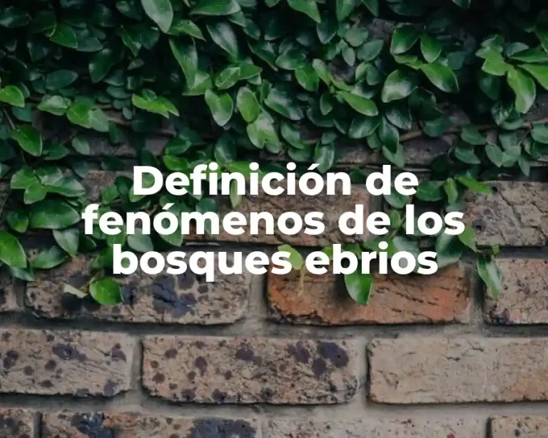 Definición de fenómenos de los bosques ebrios