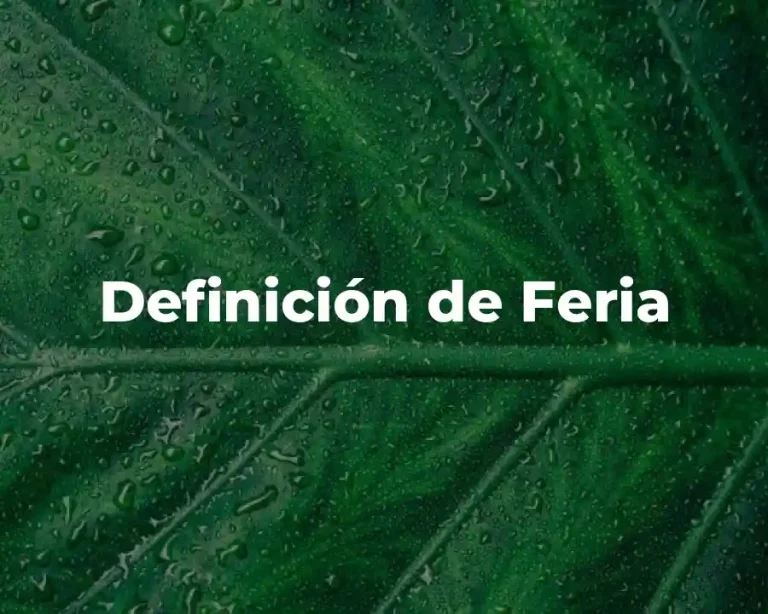 Definición de Feria