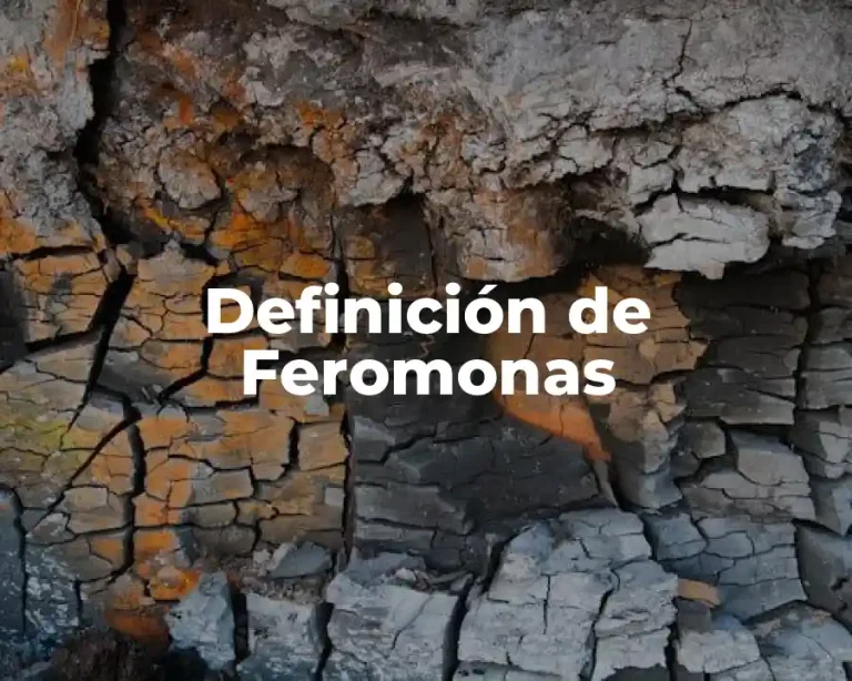 Definición de Feromonas