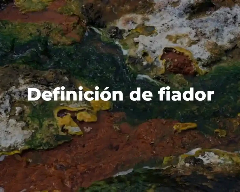 Definición de fiador
