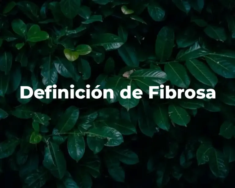 Definición de Fibrosa