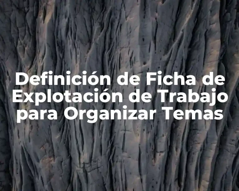 Definición de Ficha de Explotación de Trabajo para Organizar Temas