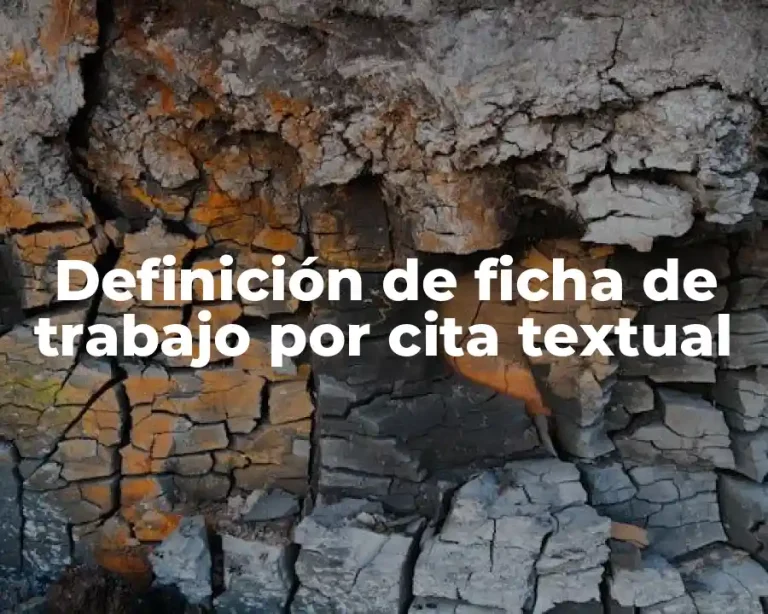 Definición de ficha de trabajo por cita textual