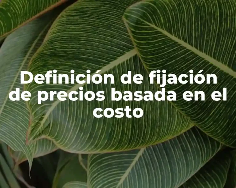 Definición de fijación de precios basada en el costo