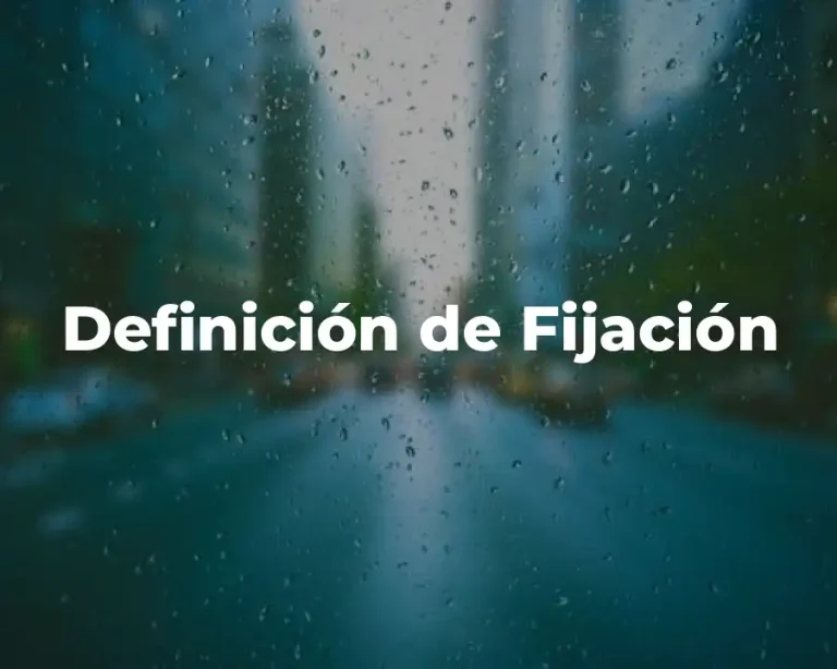 Definición de Fijación