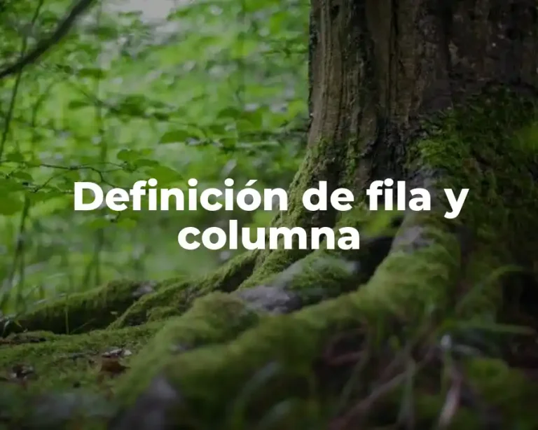 Definición de fila y columna