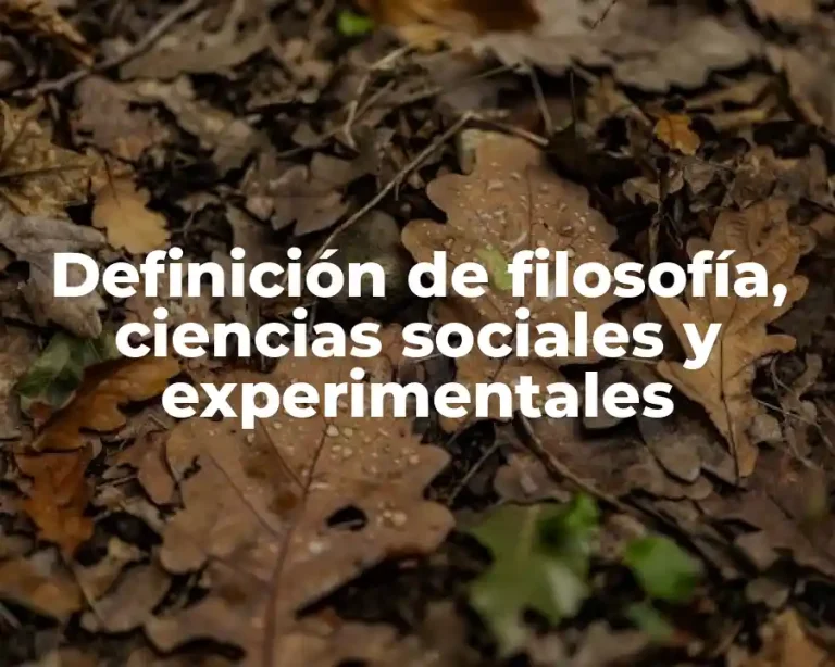 Definición de filosofía, ciencias sociales y experimentales
